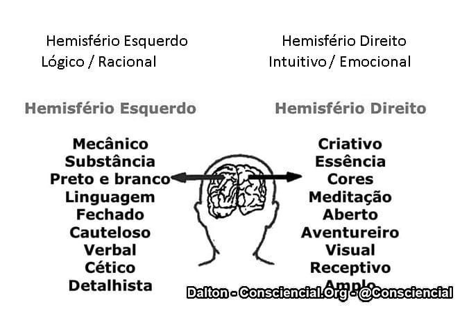 hemisférios cerebrais e suas lógicas conscienciais conciencial