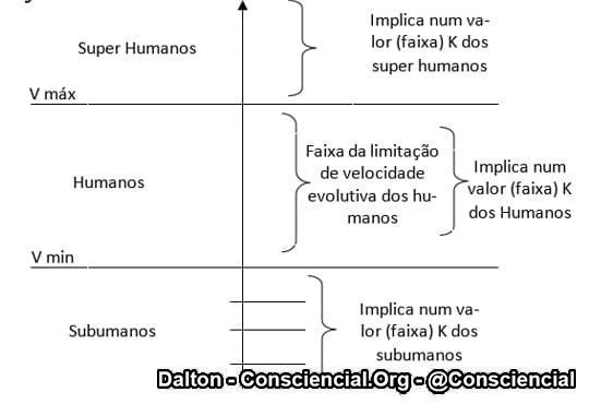 Situações evolutivas gerais - síntese