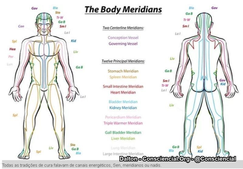 A Ciência finalmente comprova a existência dos Meridianos1