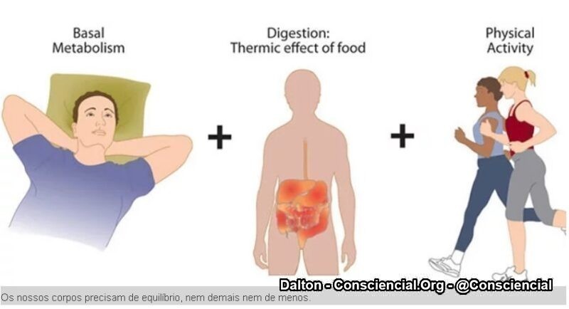 A Ciência finalmente comprova a existência dos Meridianos6