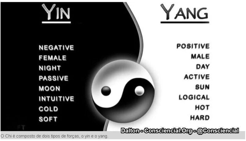 A Ciência finalmente comprova a existência dos Meridianos7