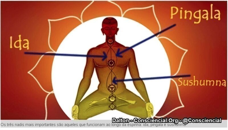 A Ciência finalmente comprova a existência dos Meridianos8