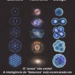 Ciência e Espiritualidade Geometria + Astronomia + Biologia