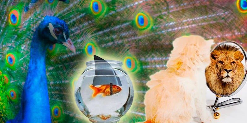 sindromes-evolutivas