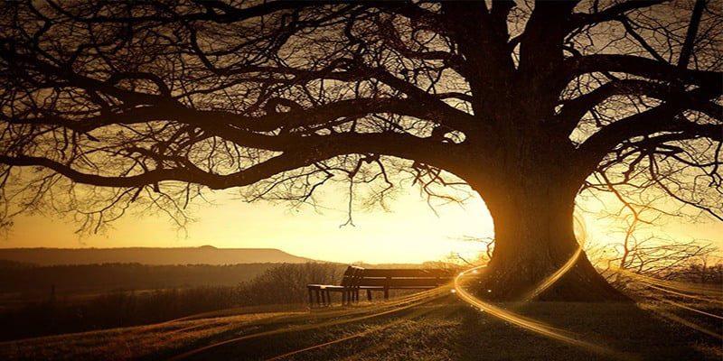 HÁ ALGO MAIS UM AMOR, UMA LUZ. – CXXV Wagner Borges