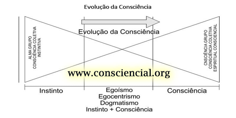 FALANDO DE CONSCIÊNCIA