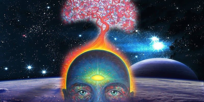 ONDAS CEREBRAIS E OS HEMISFÉRIOS