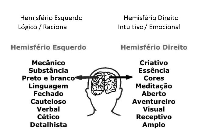 hemisférios cerebrais e suas lógicas conscienciais conciencial