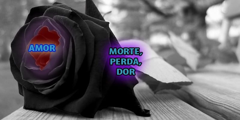 OCIDENTE – A CULTURA QUE NEGLIGENCIA A DOR DA MORTE