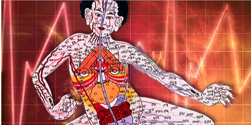 O que a fusão entre a Espiritualidade e a Ciência significa para si