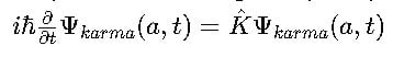 A equação de Schrödinger adaptada para o karma
