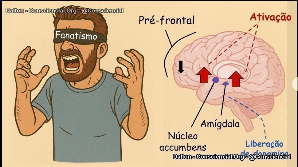 FANATISMO O QUE ACONTECE NO CÉREBRO